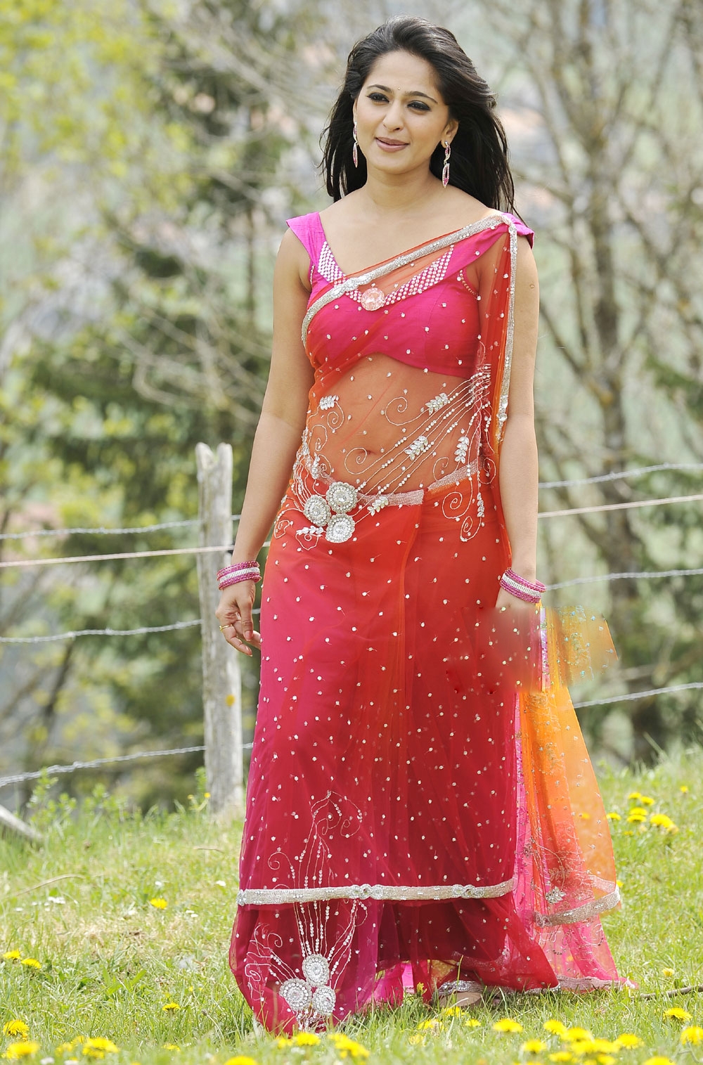 saree photoshoot pics saree photoshoot pics